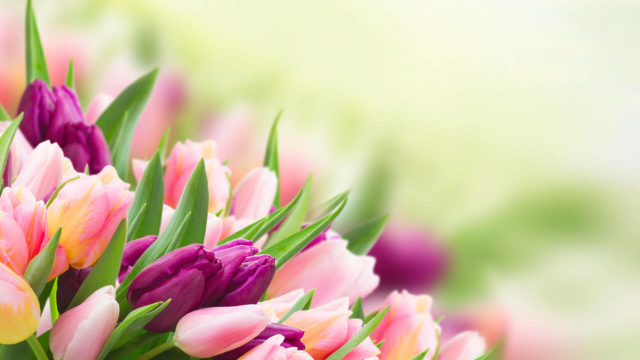 mothers-day