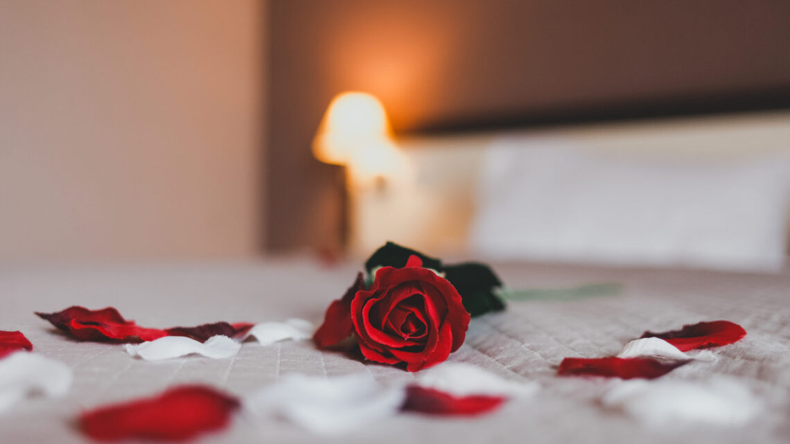 Rose on the bed in the hotel rooms. Rose and her petals on the bed for a romantic evening