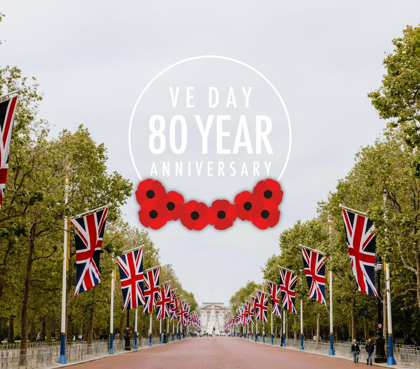 ve_day_banner