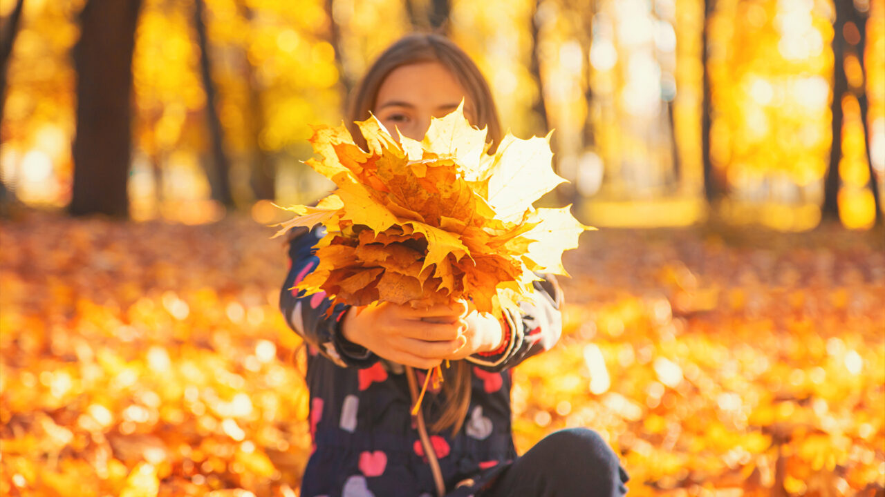 autumn_banner