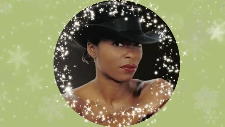 Tina T's Motown Christmas Party blog image
